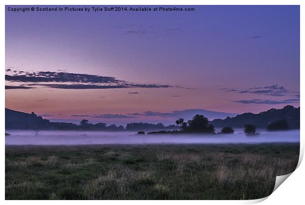  Misty Evening at Hunterston Print by Tylie Duff Photo Art