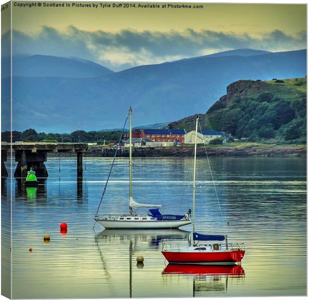 Sunrise on the Clyde  Canvas Print by Tylie Duff Photo Art