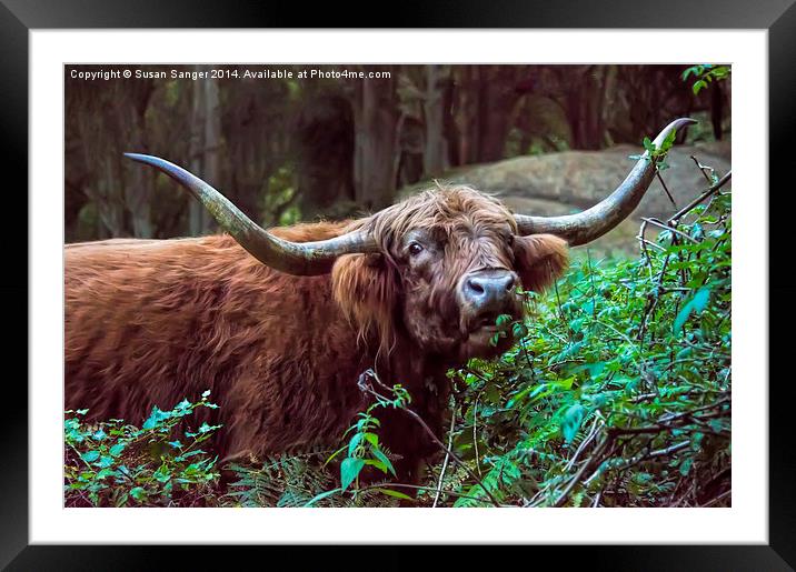  Highland Cow Framed Mounted Print by Susan Sanger