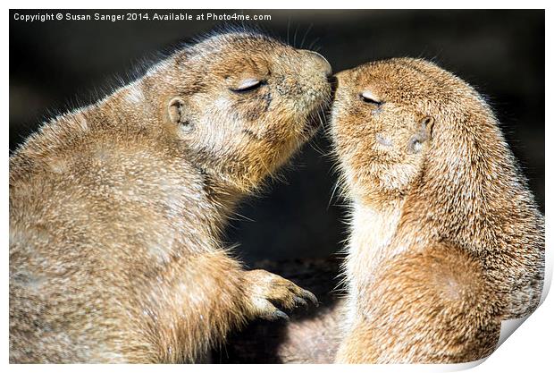 Prairie dogs kissing Print by Susan Sanger