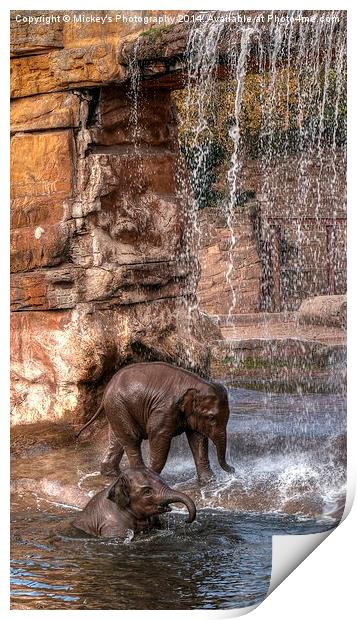 Elephants Water Fun Print by rawshutterbug 