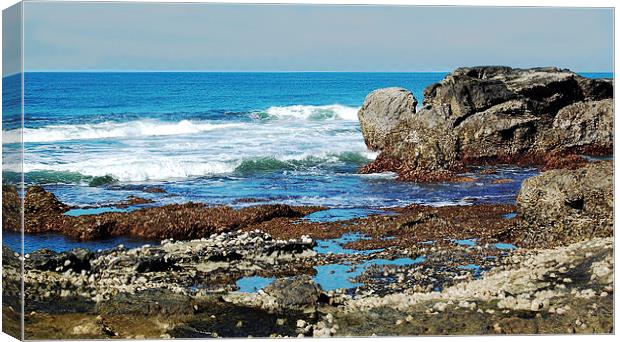  Seacoast Rocks at Low Tide Canvas Print by james balzano, jr.