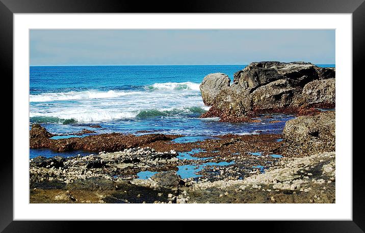  Seacoast Rocks at Low Tide Framed Mounted Print by james balzano, jr.