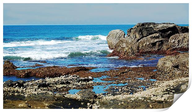  Seacoast Rocks at Low Tide Print by james balzano, jr.