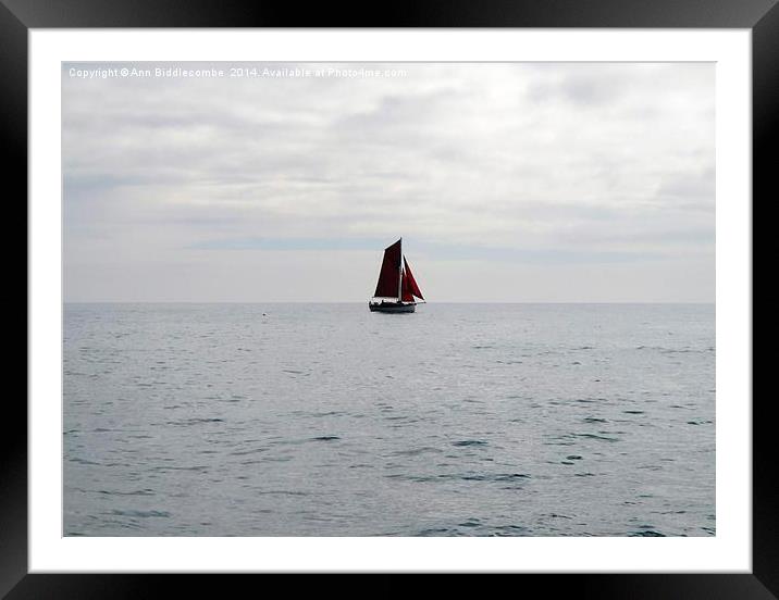 Lone yacht  Framed Mounted Print by Ann Biddlecombe