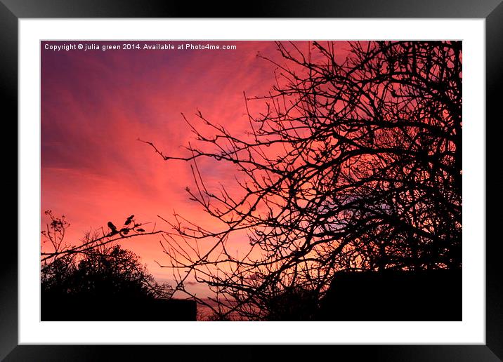  sunset somerset  Framed Mounted Print by julia green