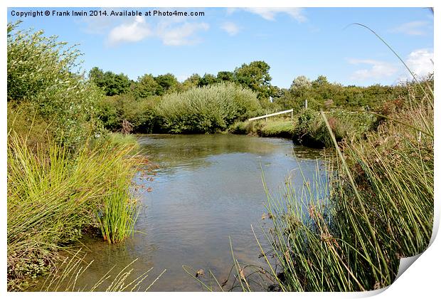 A quiet spot on Thurstaston Common Nature reserve Print by Frank Irwin