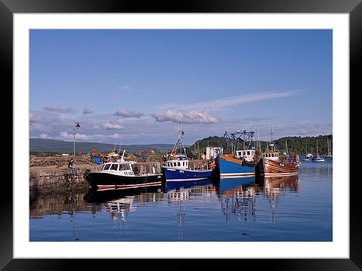  Messing About in Boats Framed Mounted Print by Jacqi Elmslie