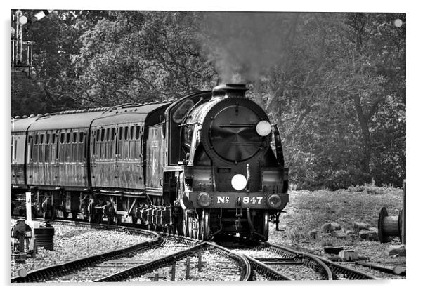 Steam Trains bw  Acrylic by David French
