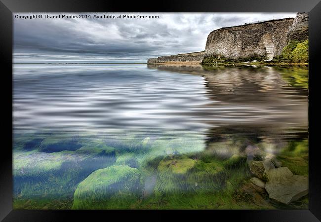  Under the sea Framed Print by Thanet Photos