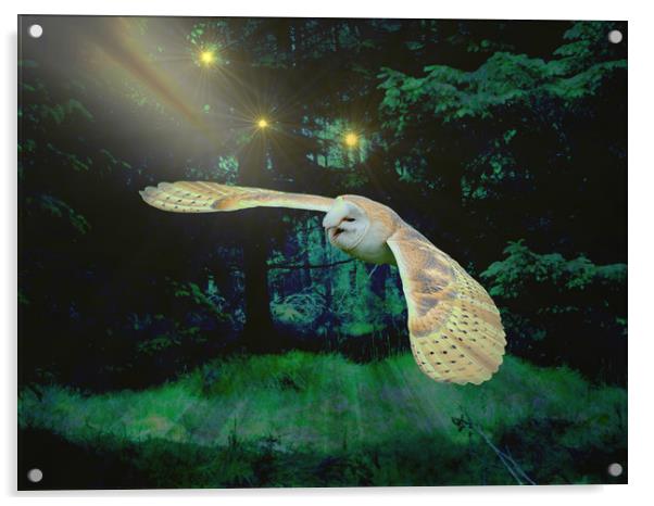  Night Owl. Acrylic by Heather Goodwin