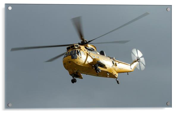  Westland Sea King Helicopter Acrylic by Philip Catleugh