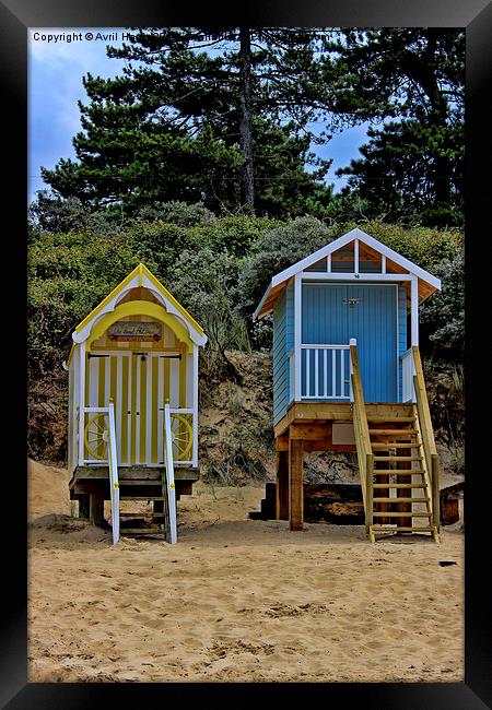 Beach Huts  Framed Print by Avril Harris