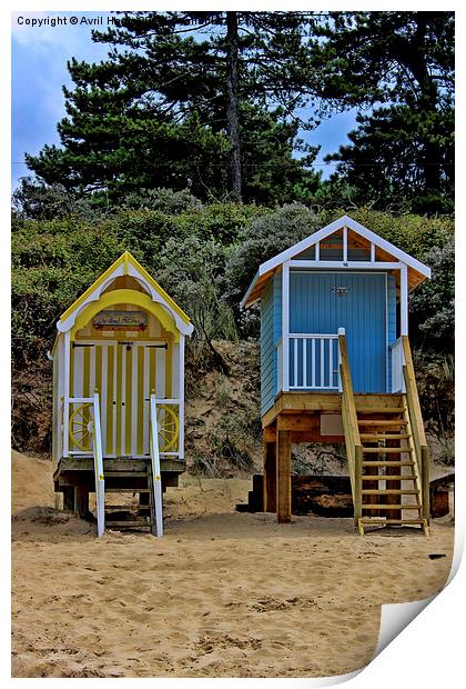 Beach Huts  Print by Avril Harris