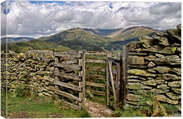  Kissing Gate Canvas Print by Roger Green