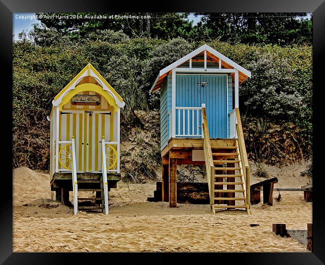 Wells next the sea beach huts Framed Print by Avril Harris