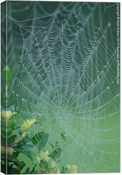  The Web Canvas Print by Mark Hobson