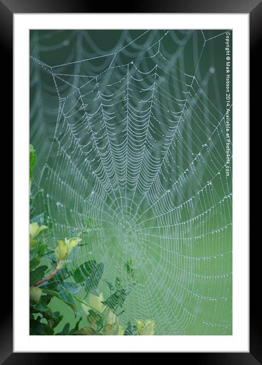  The Web Framed Mounted Print by Mark Hobson