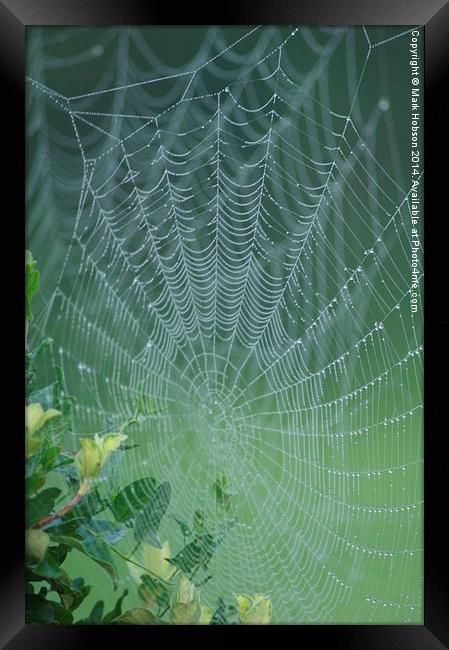  The Web Framed Print by Mark Hobson