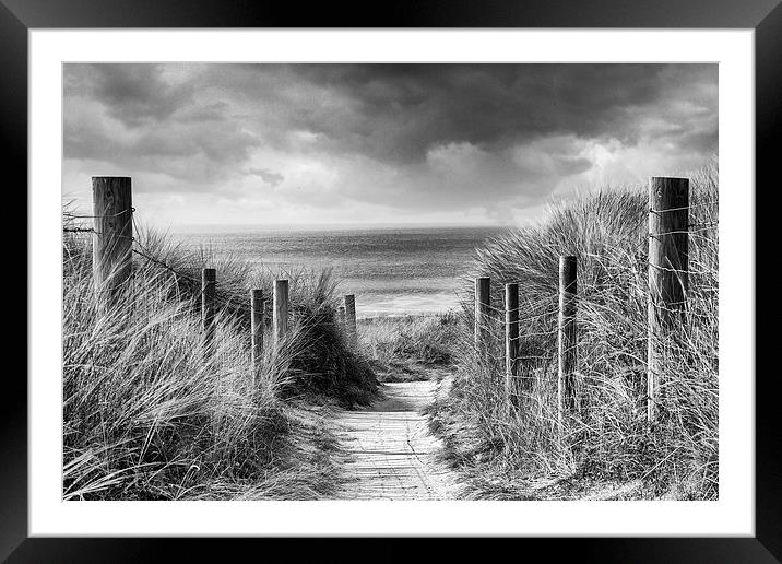  Running to the Beach Framed Mounted Print by Adam Payne