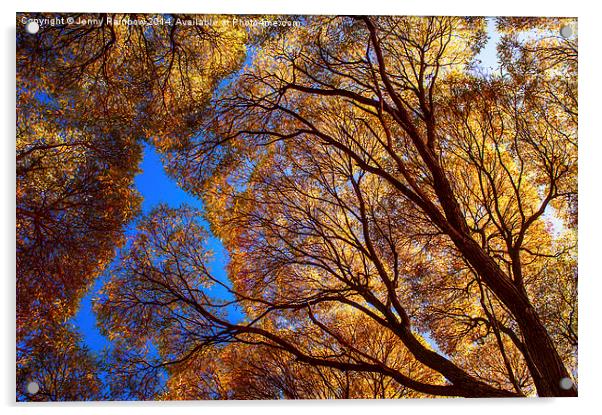  Autumn Glory Acrylic by Jenny Rainbow