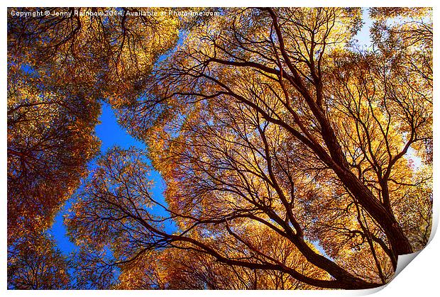  Autumn Glory Print by Jenny Rainbow