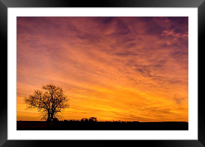 The Pre Dawn Colours Framed Mounted Print by Lee Wilson