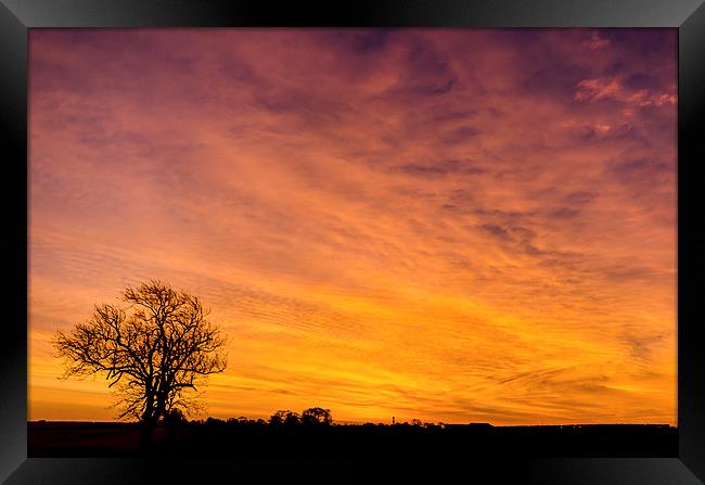 The Pre Dawn Colours Framed Print by Lee Wilson