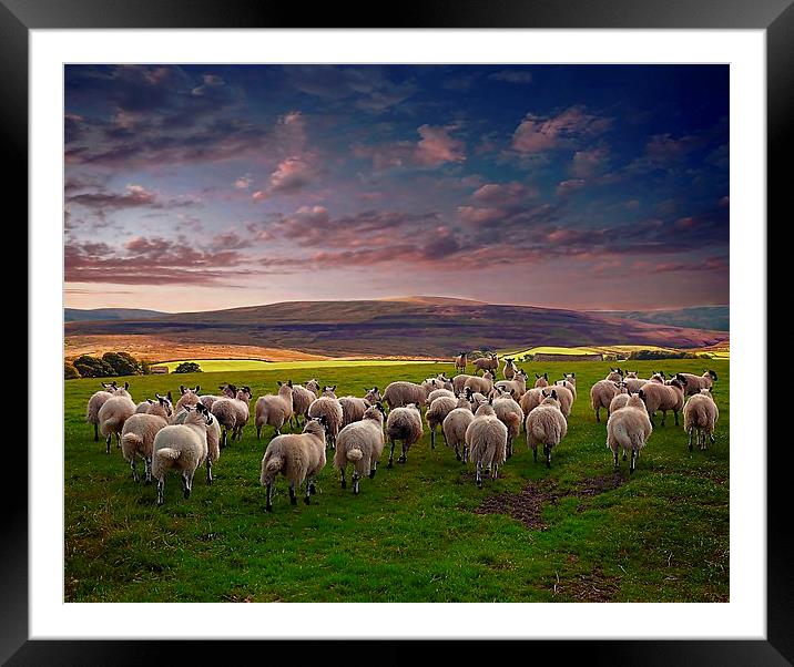  Heading on home Framed Mounted Print by Alan Mattison