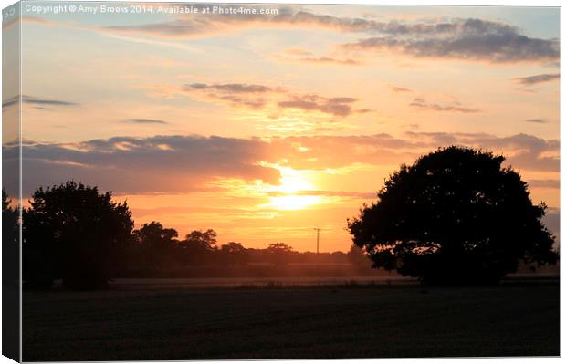 Sunset at Stebbing Canvas Print by Amy Brooks