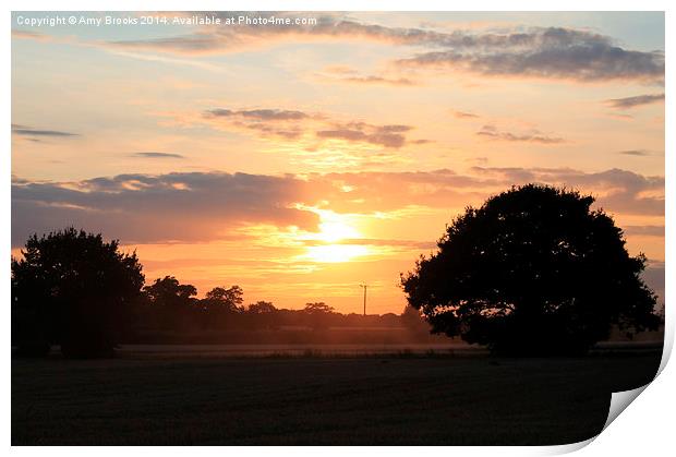 Sunset at Stebbing Print by Amy Brooks