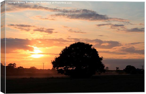  Sunset at Stebbing Canvas Print by Amy Brooks