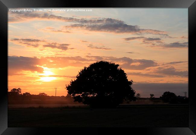  Sunset at Stebbing Framed Print by Amy Brooks