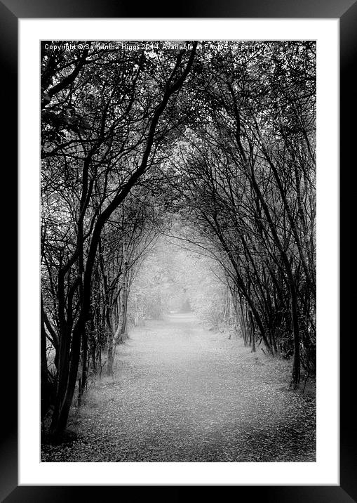  Dark Pathway Framed Mounted Print by Samantha Higgs
