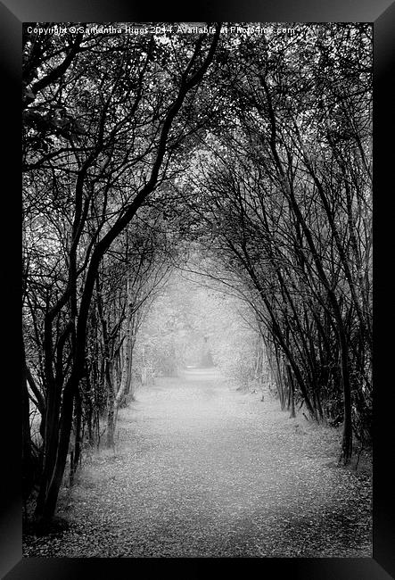  Dark Pathway Framed Print by Samantha Higgs