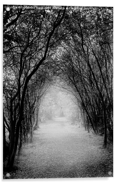  Dark Pathway Acrylic by Samantha Higgs