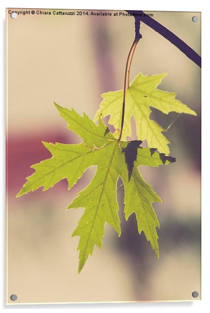  September leaves Acrylic by Chiara Cattaruzzi