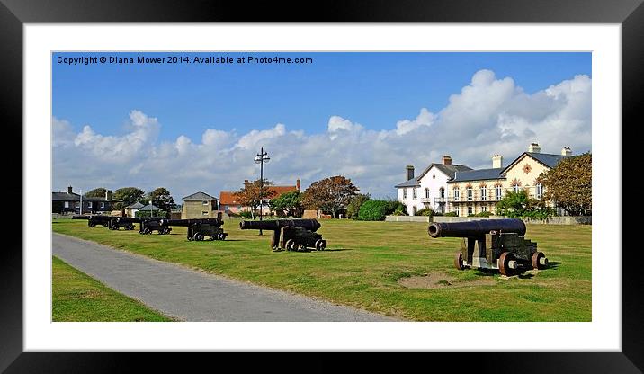  Southwold Cannon Framed Mounted Print by Diana Mower
