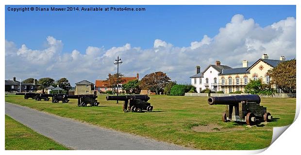  Southwold Cannon Print by Diana Mower