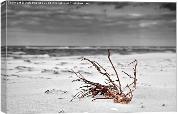  Washed up on the beach Canvas Print by Gary Pearson