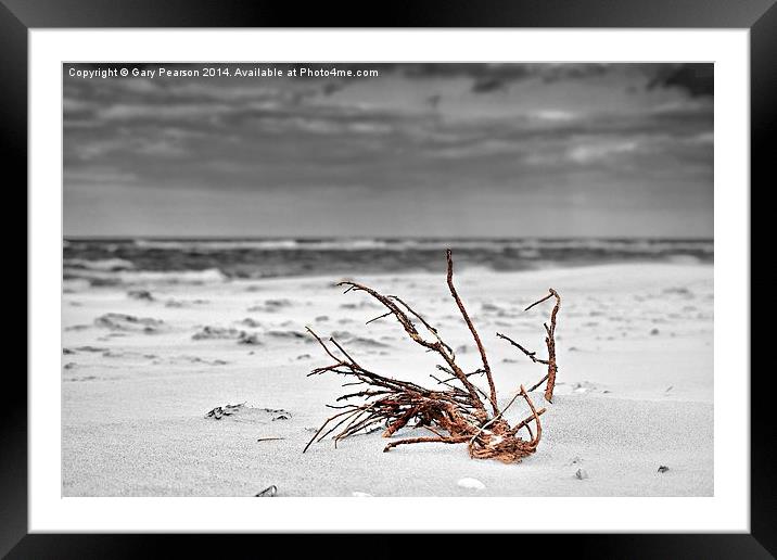  Washed up on the beach Framed Mounted Print by Gary Pearson