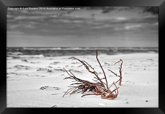  Washed up on the beach Framed Print by Gary Pearson