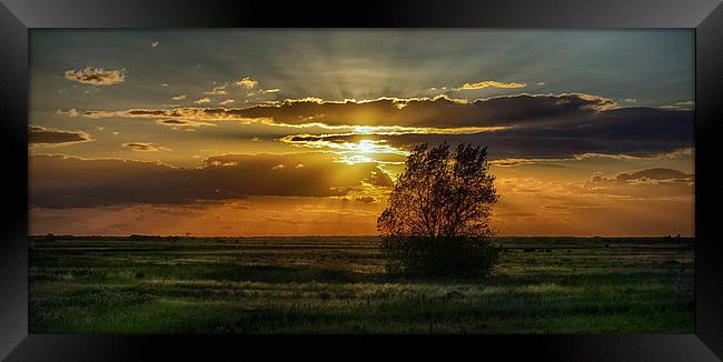  Thornham Fields Sunset Framed Print by Alan Simpson