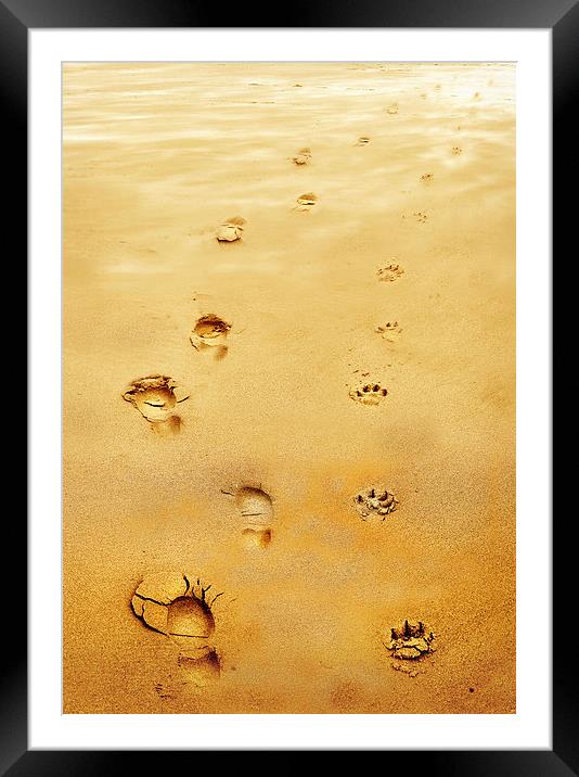  Walking the Dog Framed Mounted Print by Mal Bray