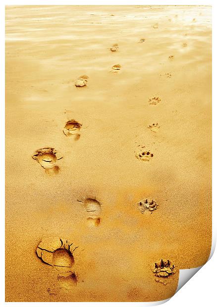  Walking the Dog Print by Mal Bray