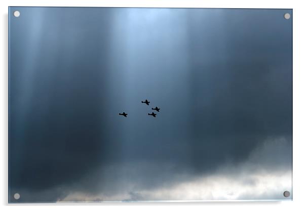 Sunlit Supermarine Spitfires Acrylic by Gary Eason