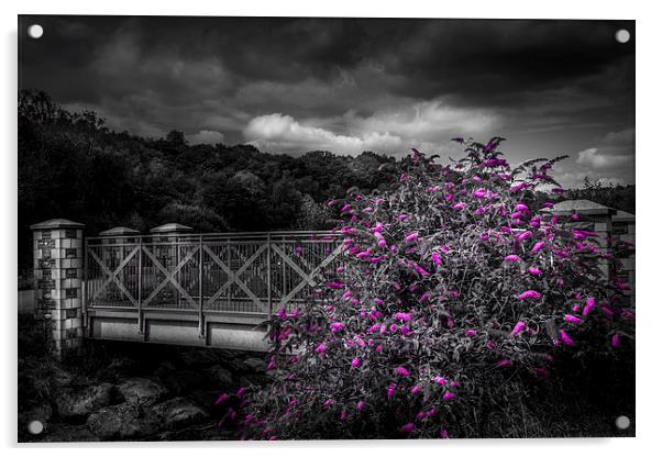  Bridge with buddleia colour pop. Acrylic by paul holt