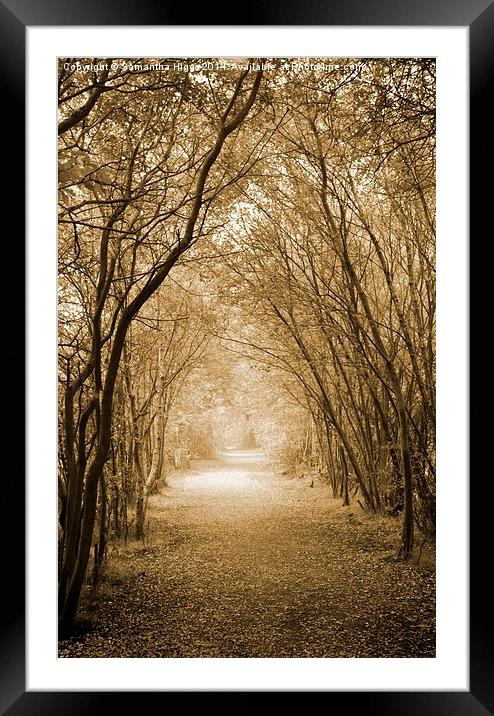  Autumn Walk Framed Mounted Print by Samantha Higgs