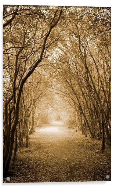  Autumn Walk Acrylic by Samantha Higgs