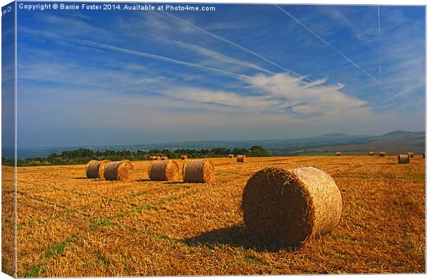  Preseli Backdrop Canvas Print by Barrie Foster